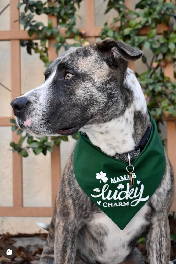 "Mama's Lucky Charm" Bandana