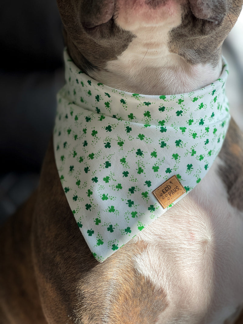 "Clover Cutie" Bandana