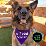 "Wicked Cute" Bandana