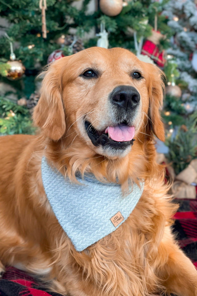 "Bundle Up" Bandana