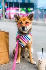 "Pride" Bandana