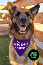 "Wicked Cute" Bandana