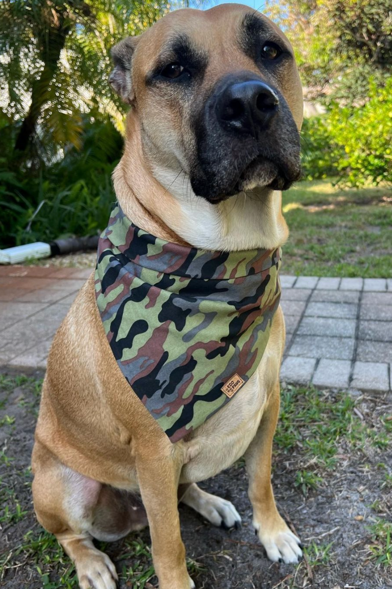 “Classic Camo" Bandana