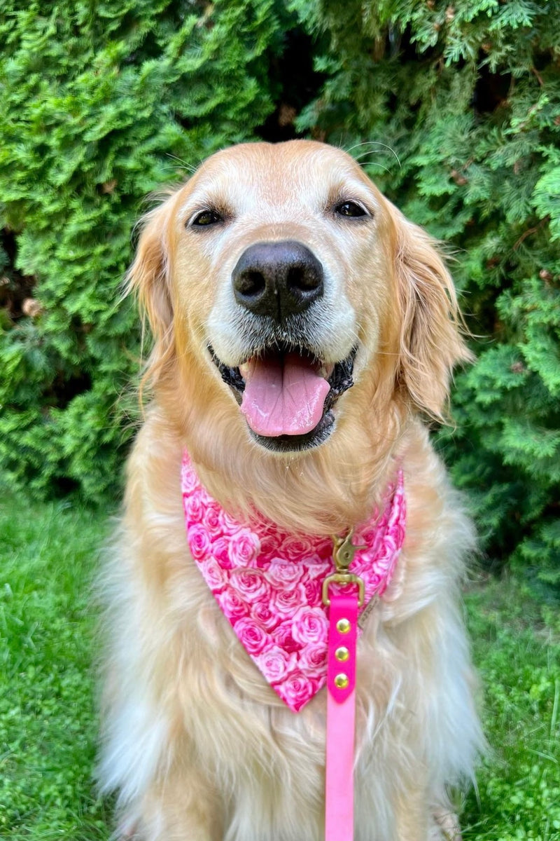 "Be My Valentine Pink" Bandana