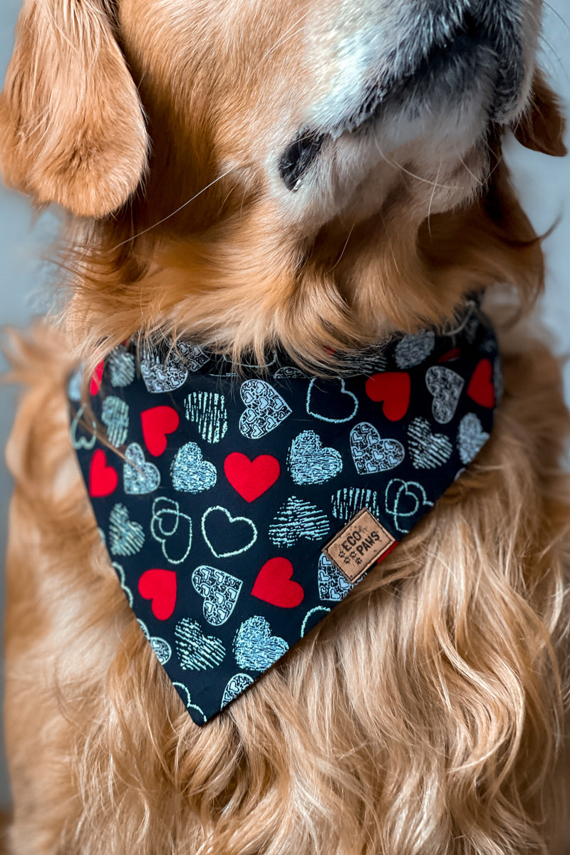 "Heartbreaker" Bandana