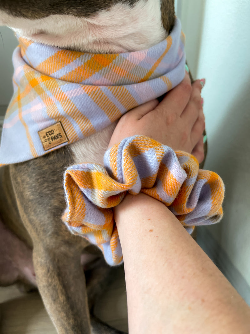 "Zest of Lavender" Scrunchie