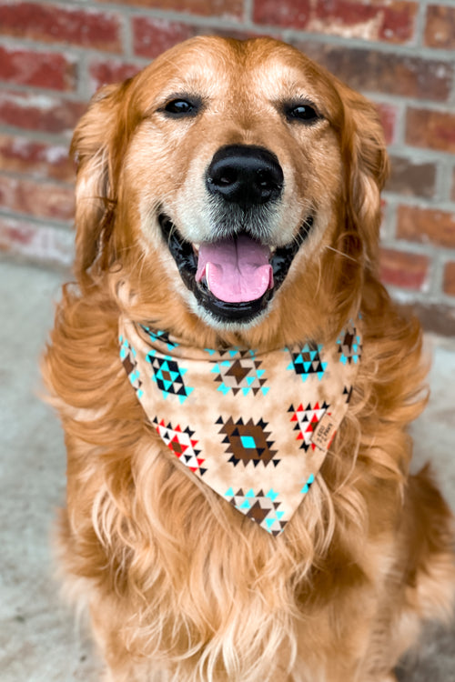 "Born to Be Wild" Bandana