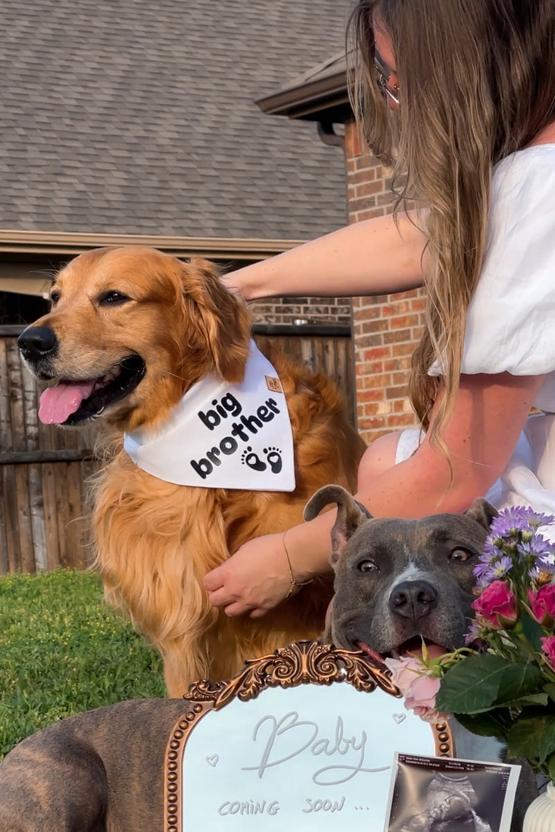 "Big Brother" Bandana