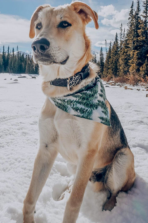 “Winter Pines” Bandana