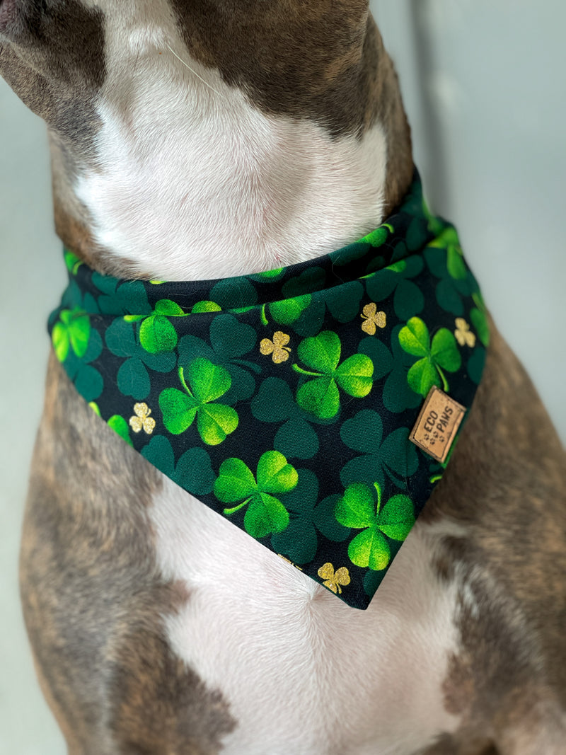 "Paws of Gold" Bandana