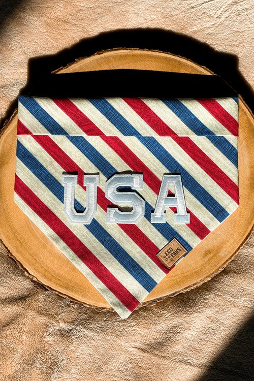 "Born in the USA" Bandana