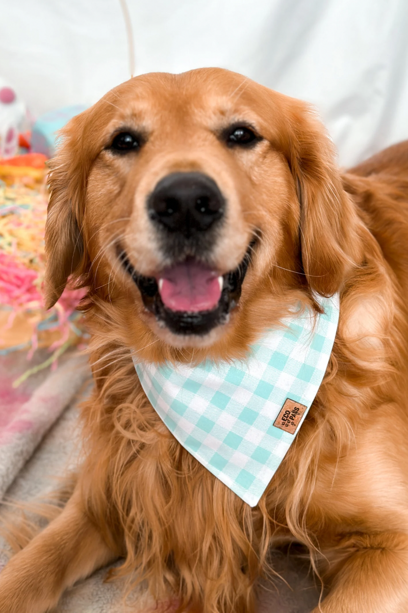 "Aqua Blue Plaid" Bandana