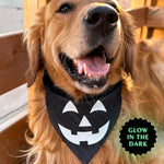 "Spooky Pumpkin" Bandana