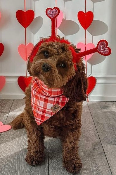 "Valentine's Day Plaid" Bandana