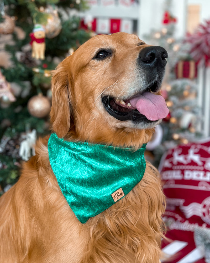 "Emerald Green Velvet" Bandana