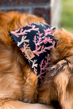 "Corals" Bandana