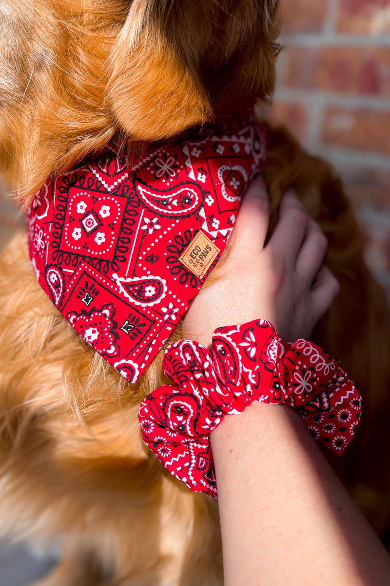 "Outlaw" Scrunchie