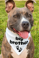 "Big Brother" Bandana