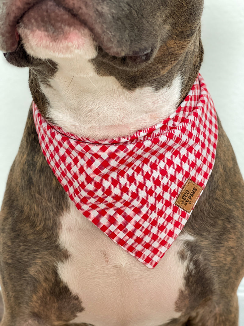 "Strawberry Gingham" Bandana