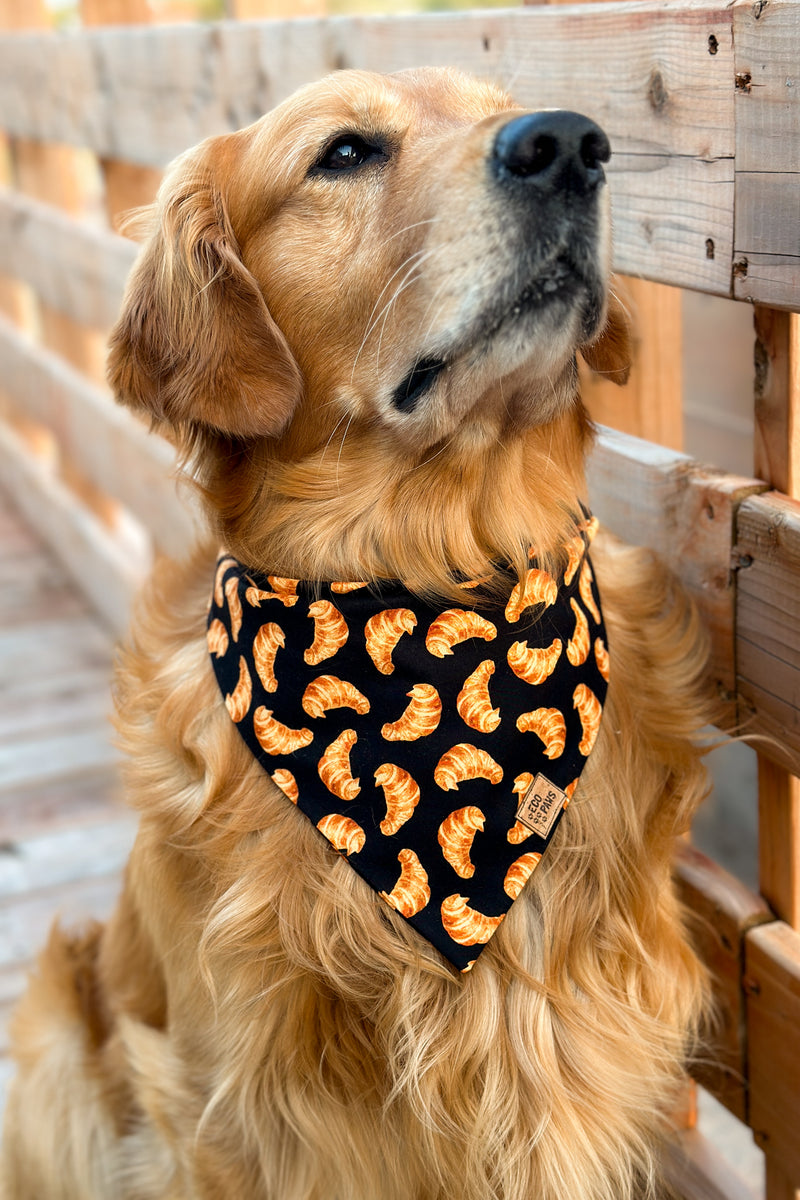 "Morning Croissant" Bandana