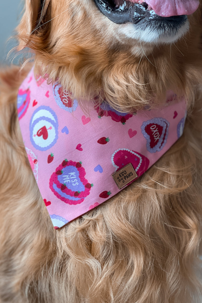 "Pawfectly Sweet" Bandana