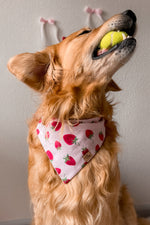 "Berry Sweet" Bandana