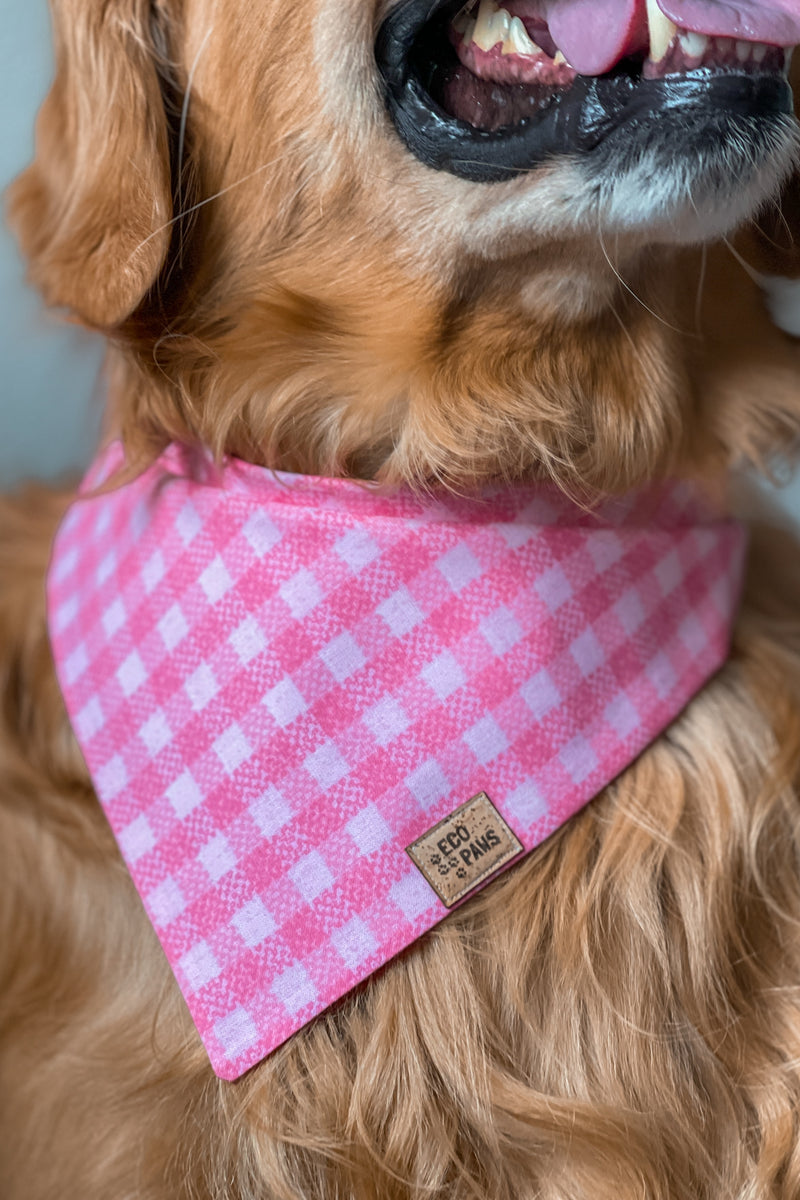 "Cupid's Plaid" Bandana