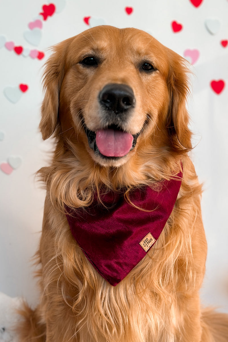 "Wine Velvet" Bandana