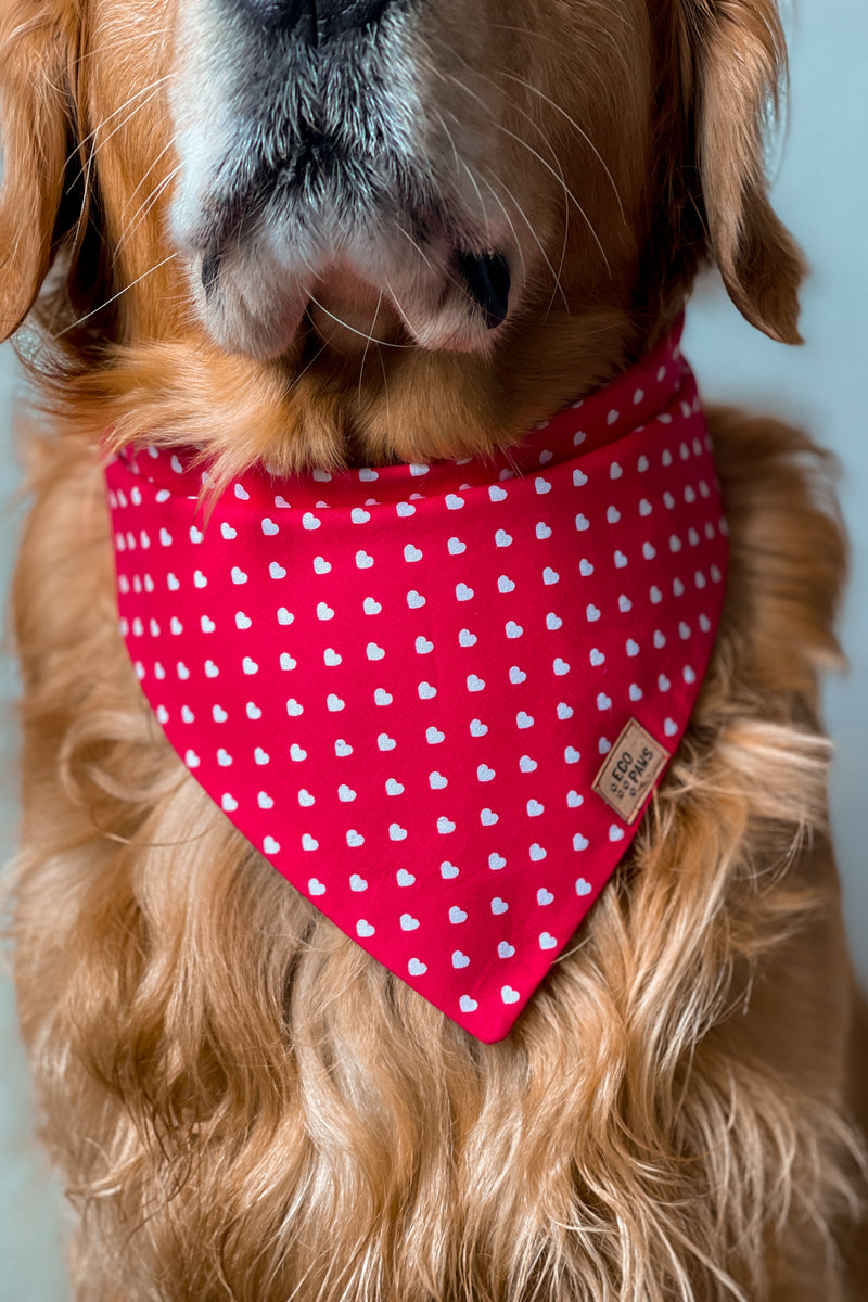 "Puppy Love" Bandana