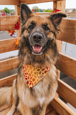 "Autumn Leaves" Bandana