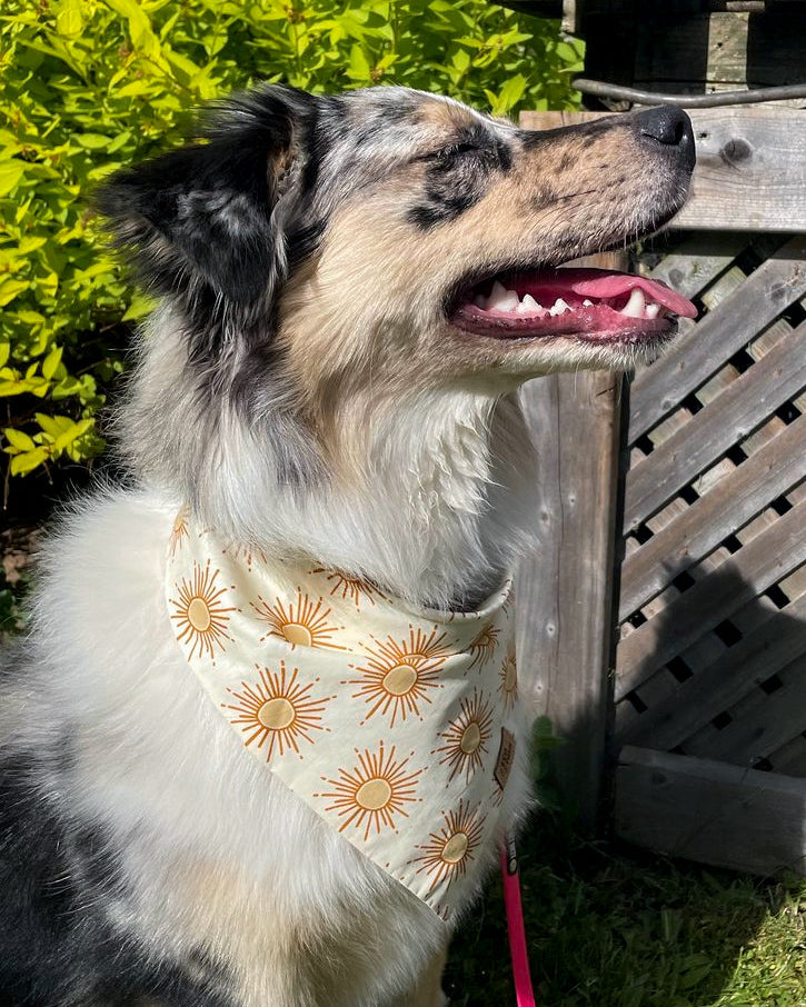 "Sunshine" Bandana
