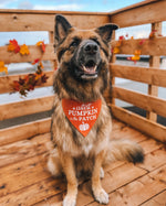 "Cutest Pumpkin in the Patch" Bandana