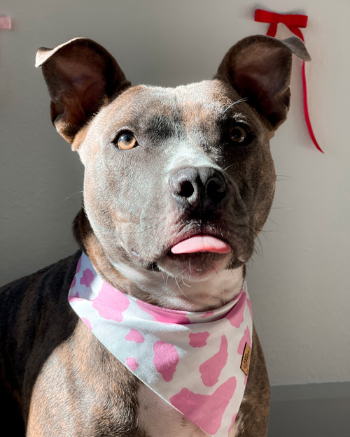 "Cowgirl" Bandana