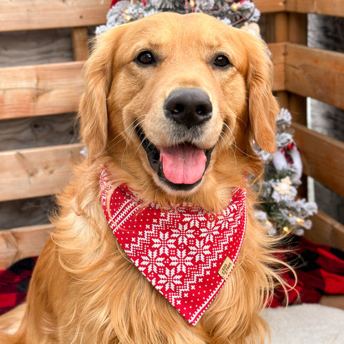 "Sweater Weather Red" Bandana