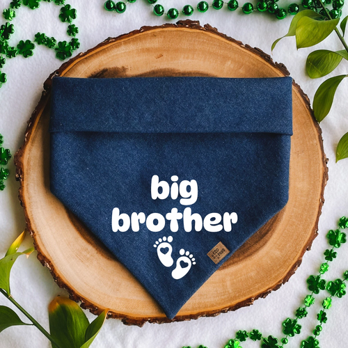 "Big Brother" Bandana