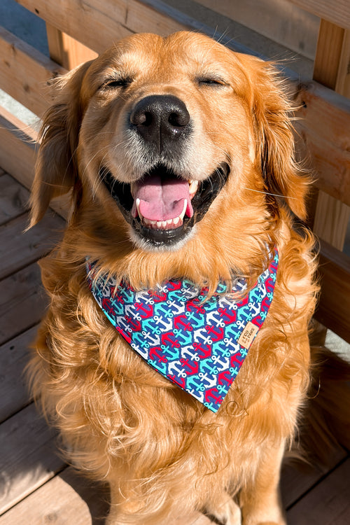 "Red, White and Anchored" Bandana