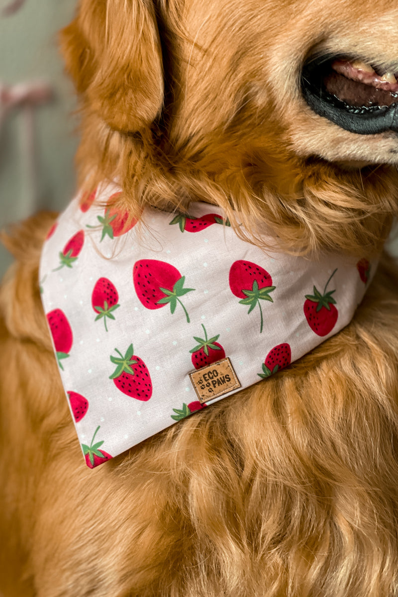 "Berry Sweet" Bandana