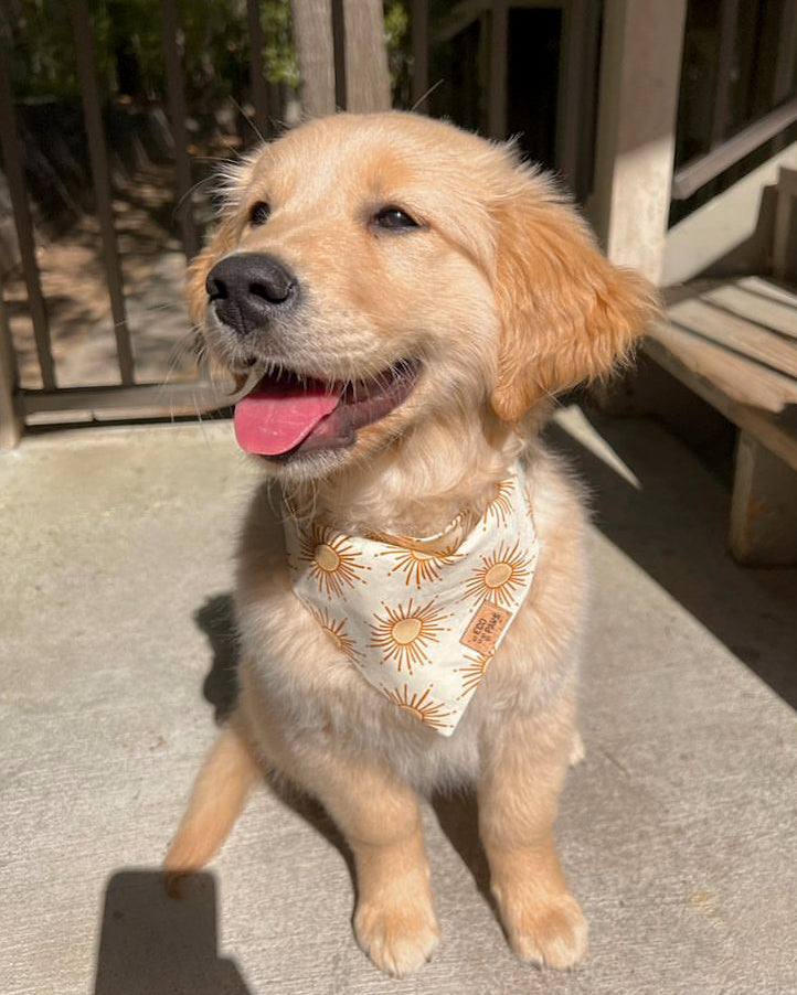 "Sunshine" Bandana
