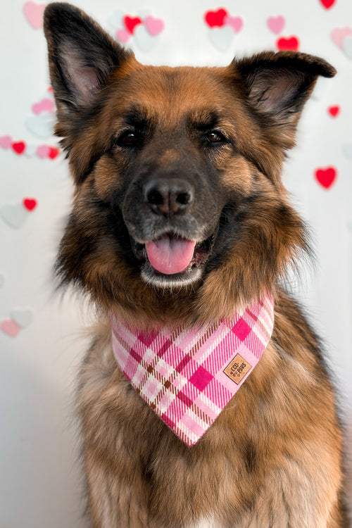 "Pretty in Plaid" Bandana