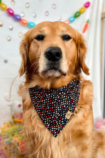 "Spring Confetti" Bandana