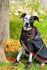 "Spooky Hogwarts" Bandana