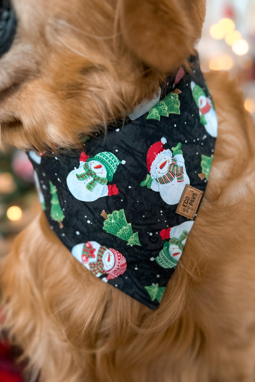 "Feeling Frosty" Bandana