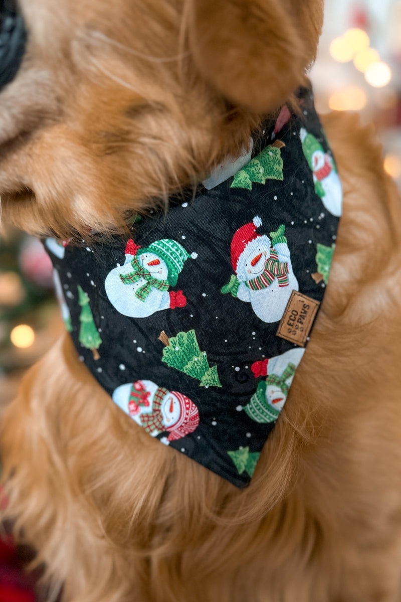 "Feeling Frosty" Bandana