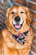 "Corals" Bandana