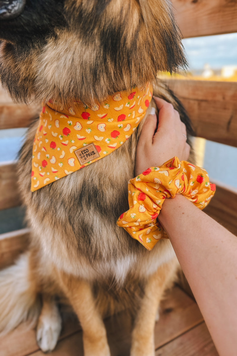"Applesauce" Scrunchie