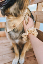 "Hay There" Bandana