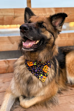 "Trick or Treat" Bandana