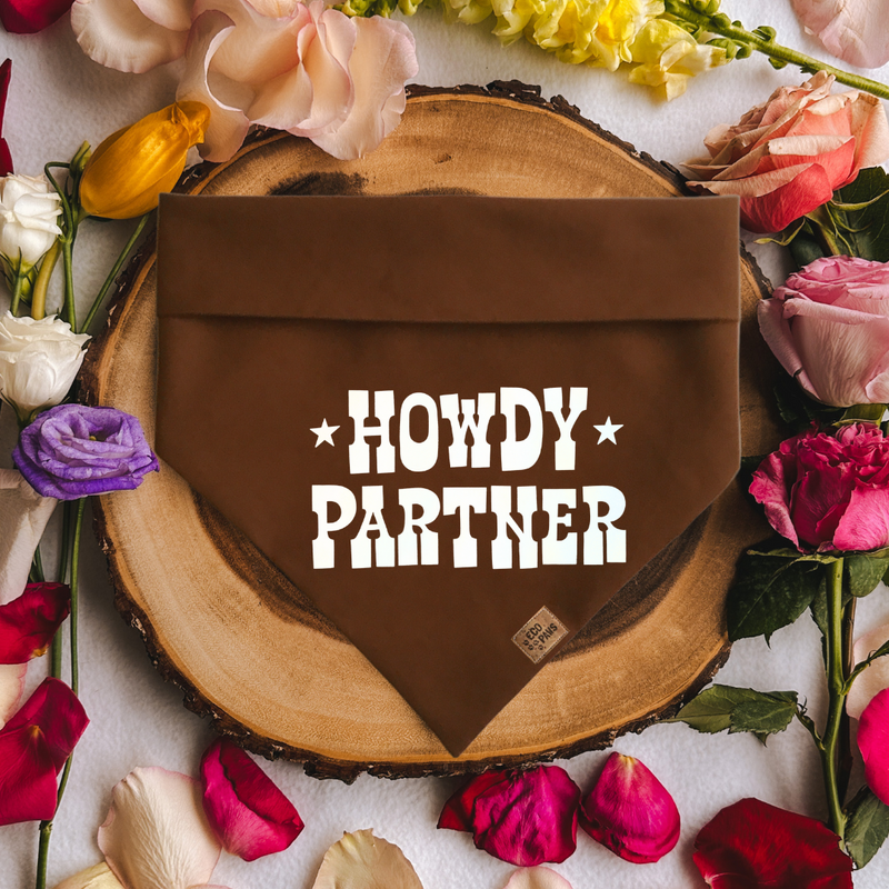 "Howdy Partner" Bandana