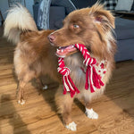 Canada Day Macrame Braid Dog Toy