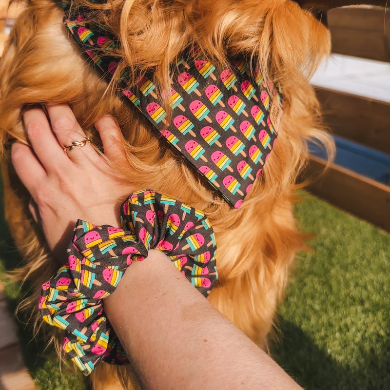 "Smiley Pupsicles" Scrunchie